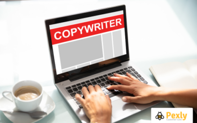 Copywriter/Content creator